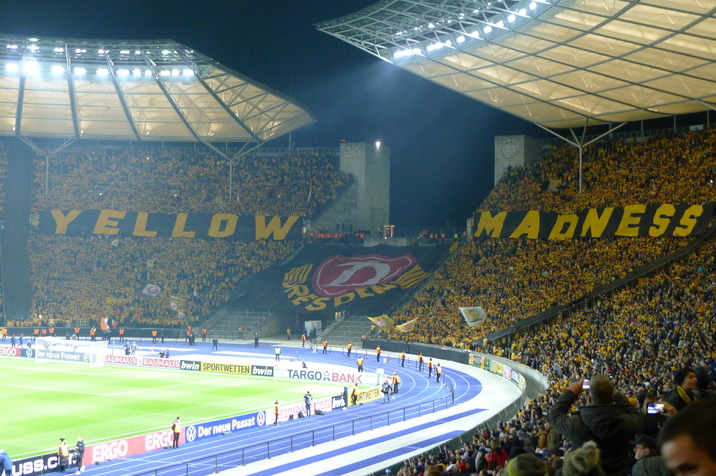 Yellow-Madness.JPG