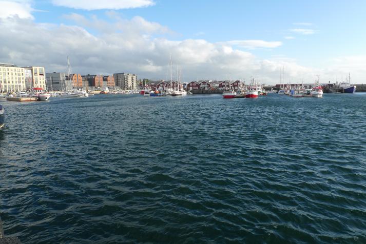 bod&ouml;, hamnen