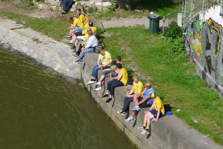 svenska fans