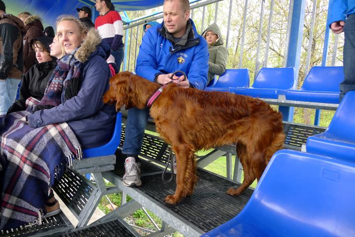 hund