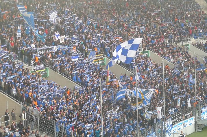 hoffenheimfans2