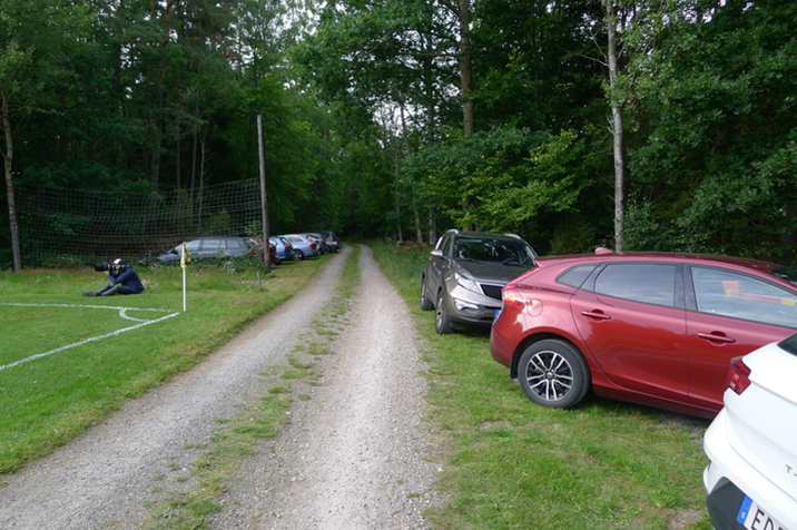 Cars.JPG