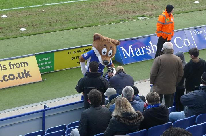 filbert fox