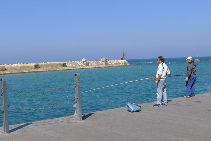 jaffa, hamnen