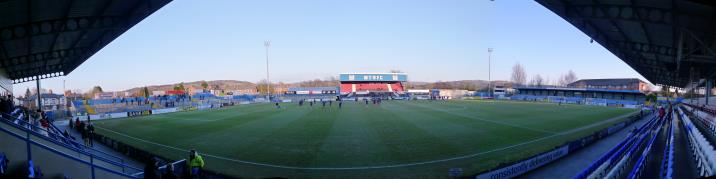 pano, moss rose2