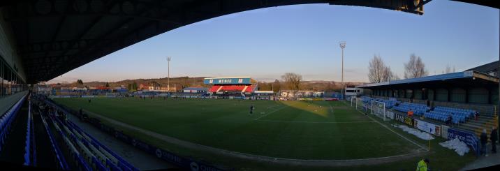 pano, moss rose3