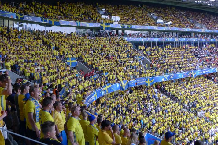 swedish fans4