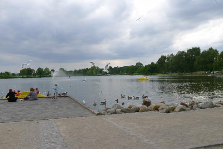 pond