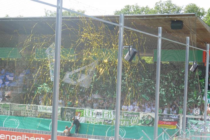 wolfsburgfans2