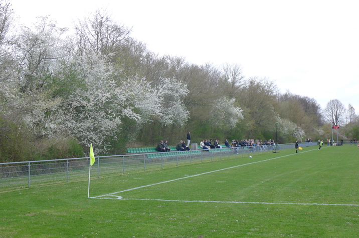 West-Stand3.JPG