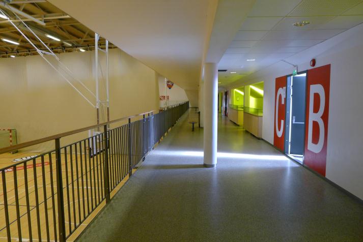 hall+arena