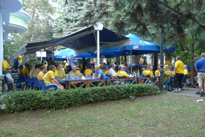 svenska fans2