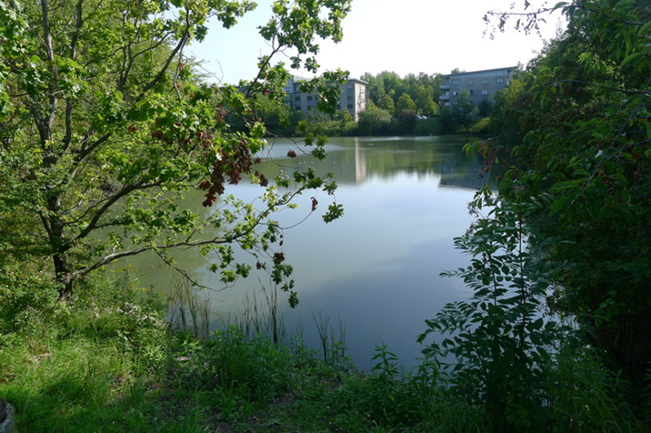 Moat2.JPG