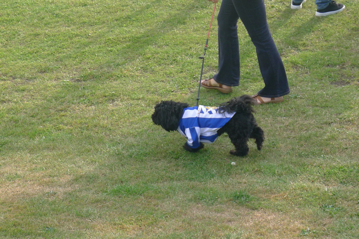 Dog.JPG