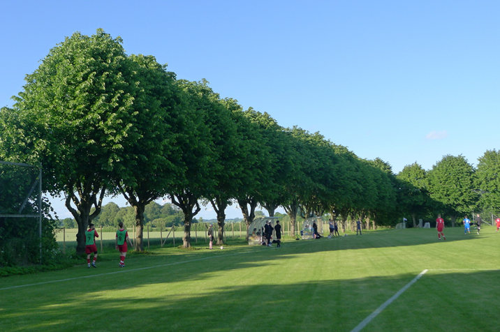 North-side2.JPG