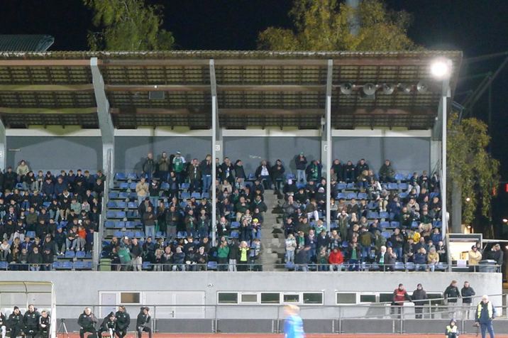 Viborgfans.JPG