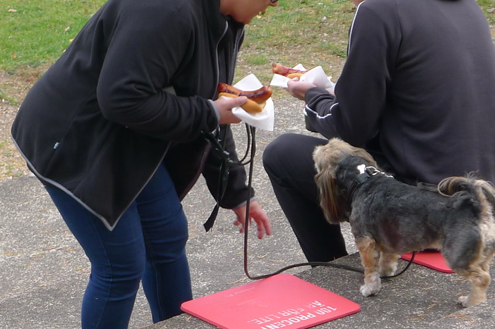 Dog.JPG