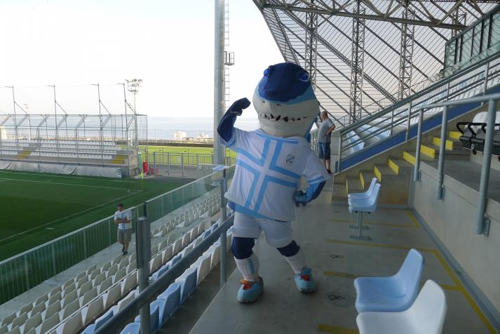mascot