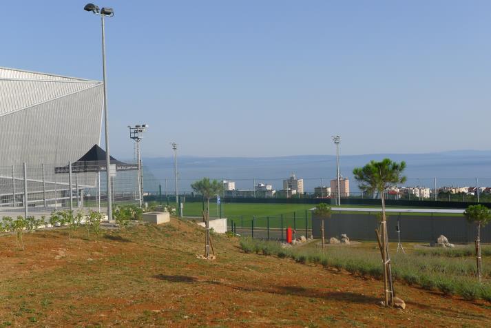 view from the ground2