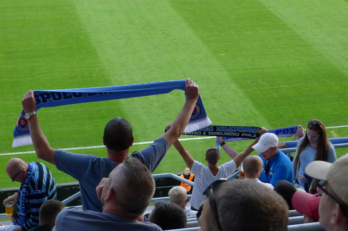 Scarves-are-out.JPG