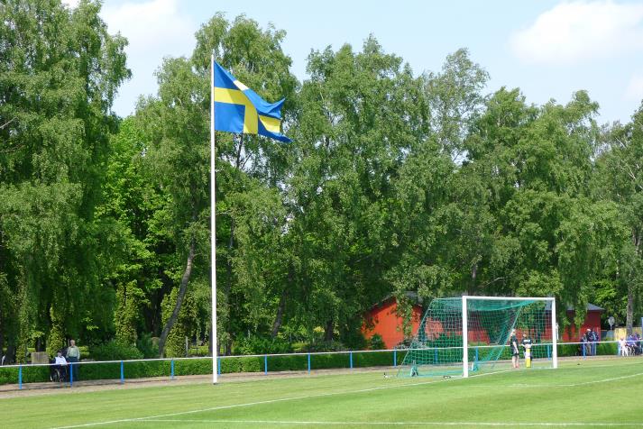 swedish flag