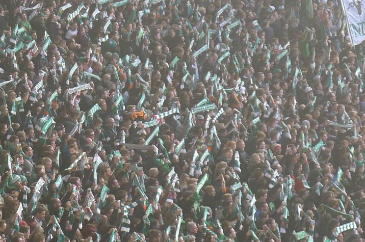 scarfs are out2